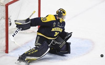 Femoroacetabular Impingement in Ice Hockey Goaltenders